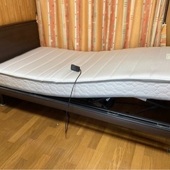 フランスベッド　電動リクライニングの画像
