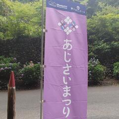 ✨あじさい見に行きませんか✨ − 東京都