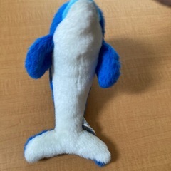 水族館で購入　イルカ　ぬいぐるみの画像