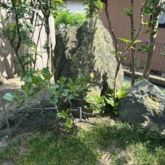 日本庭園　灯篭　岩　石の画像