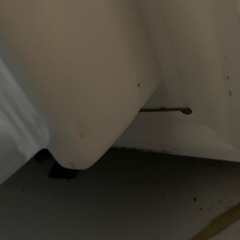 冷蔵庫の画像