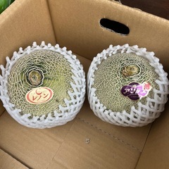 茨城県産🍈残り1玉づつとなりました☆