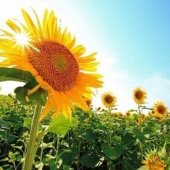 夏👬👭🍉に向けて（初級編）