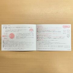 宇野千代 電子レンジ容器７点セットの画像