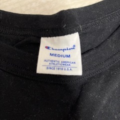 チャンピオン Tシャツの画像