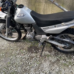 HONDA sl230の画像