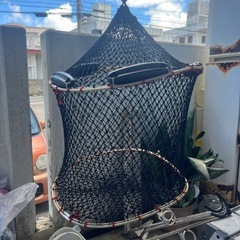 クレモナスカリ