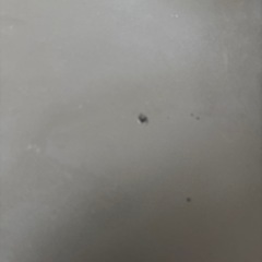 お盆中に処分します。アウトドアテーブルの画像