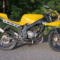 ヤマハ　TZR50rの画像