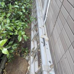 ナカオ伸縮はしごノッポNOPPO600cmの画像