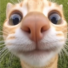 楽しいよぉ〜