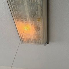 蛍光灯の画像