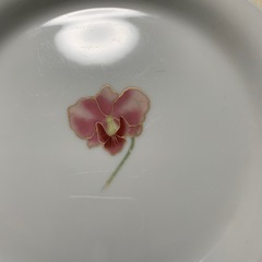 皿　10枚の画像
