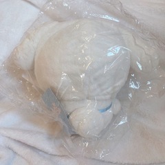 サンリオコラボ   ハチワレぬいぐるみの画像