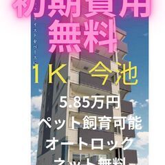 ⭐初期費用無料⭐ ペット飼育可能で今池駅も徒歩圏内のお部屋…