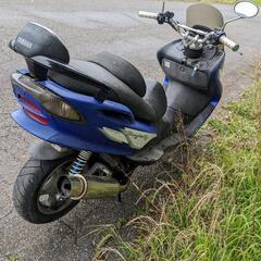 マジェスティ 125の画像