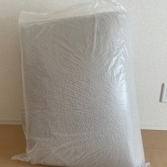 【急募当日キャンセルのため、本日17時までの受取希望】カーペット
