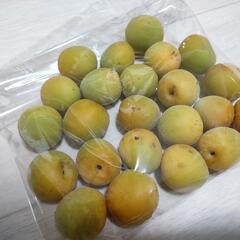紀州南高梅 500g