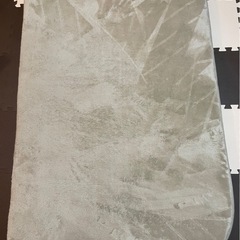 【急募当日キャンセルのため、本日17時までの受取希望】カーペット
の画像