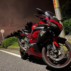 Ninja 250 ABS Special Edition 2017