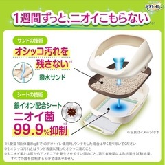 デオトイレ本体 猫用トイレ本体 快適ワイド シルキーホワイト　「定価4.192円」の画像