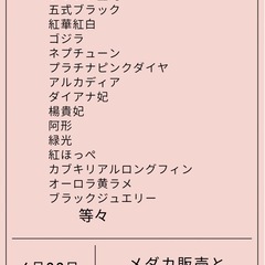 6月22日(日)卵祭りやります