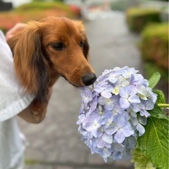 犬友さん募集してます🐕 ͗ ͗
