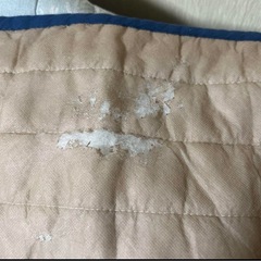 薄手カーペットの画像
