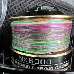 リール5000番①未使用PE0.8号100mの画像