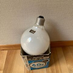 大きな電球（10個）と蛍光灯