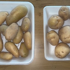 じゃがいも