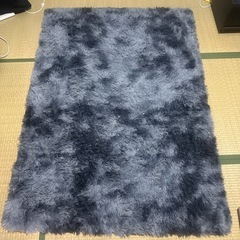 シャギーラグ、カーペット