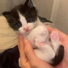 🌟(#^.^#)😺優しい友達募集中🎶🧸🌟