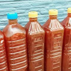 本日〜9/8限定】超濃厚PSB 光合成細菌 活バクテリア2L〜　熱帯魚.メダカ.金魚.家庭菜園や観葉植物と様々な用途へ♪の画像