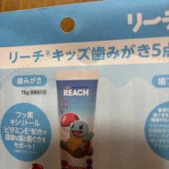 ポケモン歯ブラシセットの画像
