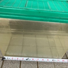 虫カゴ　特大の画像