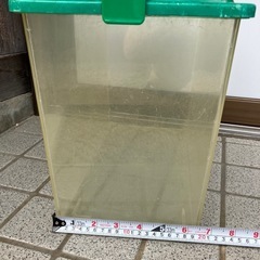 虫カゴ　特大の画像