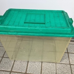 虫カゴ　特大の画像