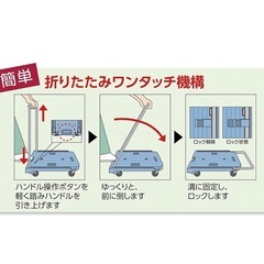 【使用回数5回未満】薄型 折りたたみ台車 の画像