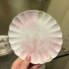 プレート四種類１５枚セットの画像