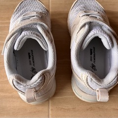 瞬足18.5cmの画像