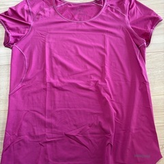 パタゴニアTシャツ　レディースLの画像