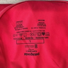 パタゴニアTシャツ　レディースLの画像