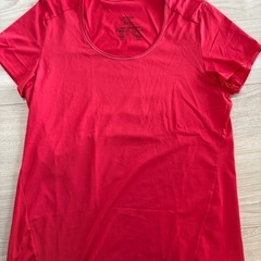 パタゴニアTシャツ　レディースLの画像