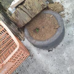 安くしました。石臼の画像