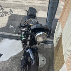 Ninja250rの画像