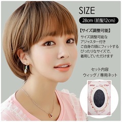 【受け渡し決定】ウィッグ(アッシュブラック)の画像