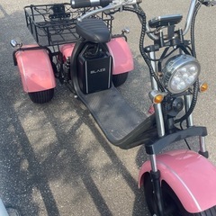 【BLAZE EV TRIKE】 ブレイズEVトライク ルージュピンク 別売り専用大型ラック付き の画像