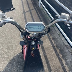 【BLAZE EV TRIKE】 ブレイズEVトライク ルージュピンク 別売り専用大型ラック付き の画像