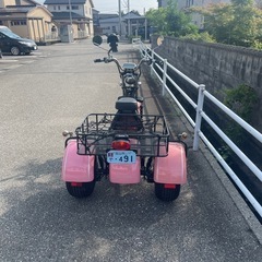 【BLAZE EV TRIKE】 ブレイズEVトライク ルージュピンク 別売り専用大型ラック付き の画像